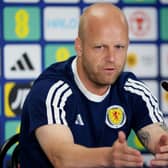 Steven Naismith speaks to the media