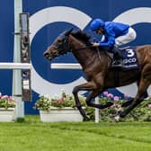 Trawlerman is bidding to defend his Ascot Gold Cup crown