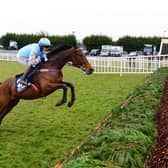 Un De Sceaux has died at the age of 18