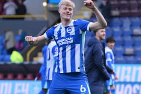 Jan Paul van Hecke celebrates Brighton’s win over Burnley