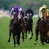 Gstaad (left) went down fighting
