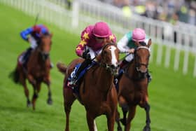 Thundering On could run in the Pretty Polly