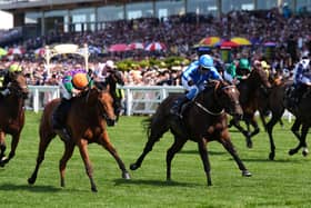 Spicy Marg (left) went down fighting at Ascot