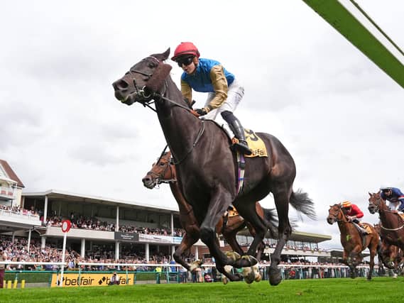 Valiancy could turn out quickly at Newcastle