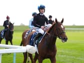 Venetian Lace at Newmarket