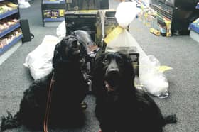 A man has been arrested after drugs were seized