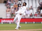 Shoaib Bashir celebrates