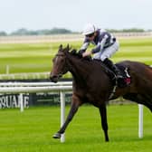 Alpha was an impressive winner at the Curragh