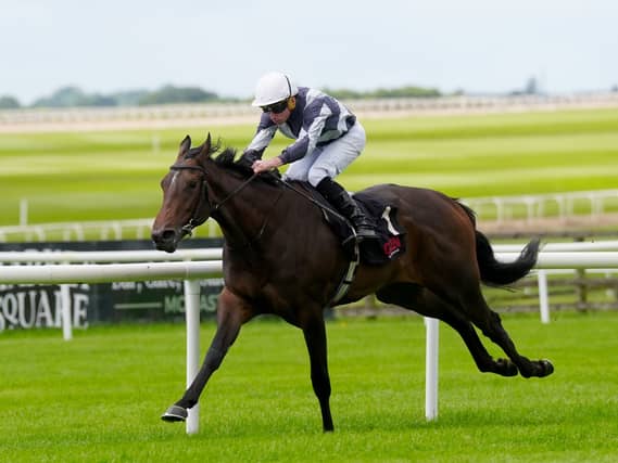 Alpha was an impressive winner at the Curragh