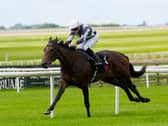 Alpha was an impressive winner at the Curragh