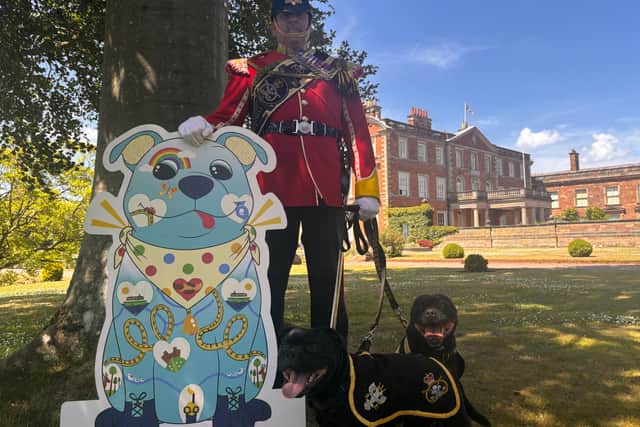 Handler Greg Hedges with Sgt Watchman VI and VII