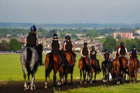 Trainer David Flood made disparaging remarks about ex-stable staff