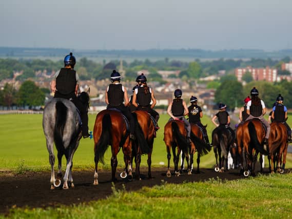 Trainer David Flood made disparaging remarks about ex-stable staff