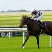 Alpha could prove a special talent