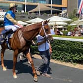 Sandal's Song has twice ran with credit at Royal Ascot