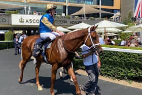 Sandal's Song has twice ran with credit at Royal Ascot