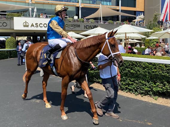 Sandal's Song has twice ran with credit at Royal Ascot
