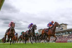 Constitution River beat Hawk Mountain in the French Derby
