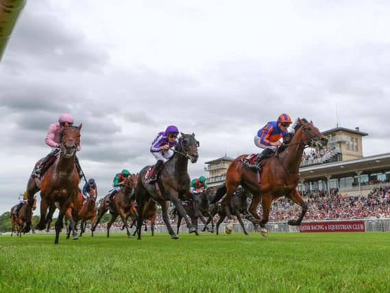 Constitution River beat Hawk Mountain in the French Derby