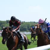 Bay Of Brilliance (right) will run in Germany this weekend