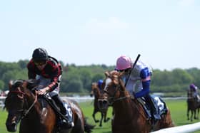 Bay Of Brilliance (right) will run in Germany this weekend