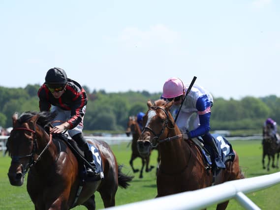 Bay Of Brilliance (right) will run in Germany this weekend