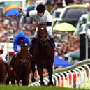 Jockey Johnny Murtagh celebrates winning the Derby on Motivator