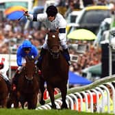 Jockey Johnny Murtagh celebrates winning the Derby on Motivator