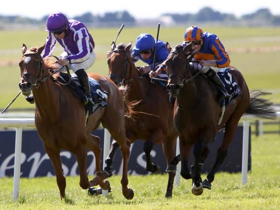 Precise (left) and True Love (right) in action at the Curragh