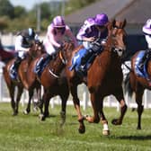 Carry The Flag (right) finishing second to Great Barrier Reef at the Curragh