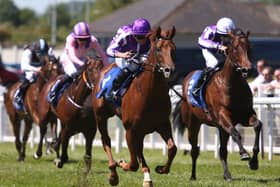 Carry The Flag (right) finishing second to Great Barrier Reef at the Curragh