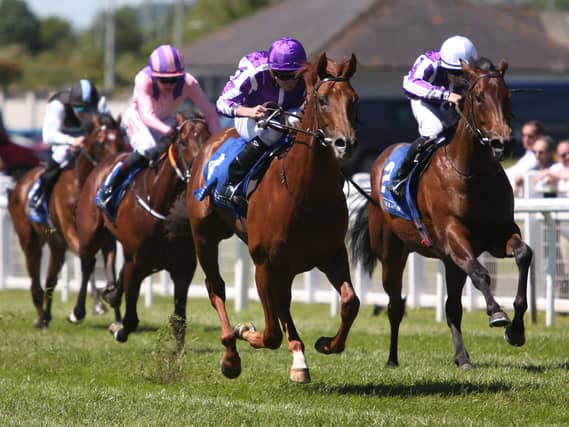 Carry The Flag (right) finishing second to Great Barrier Reef at the Curragh