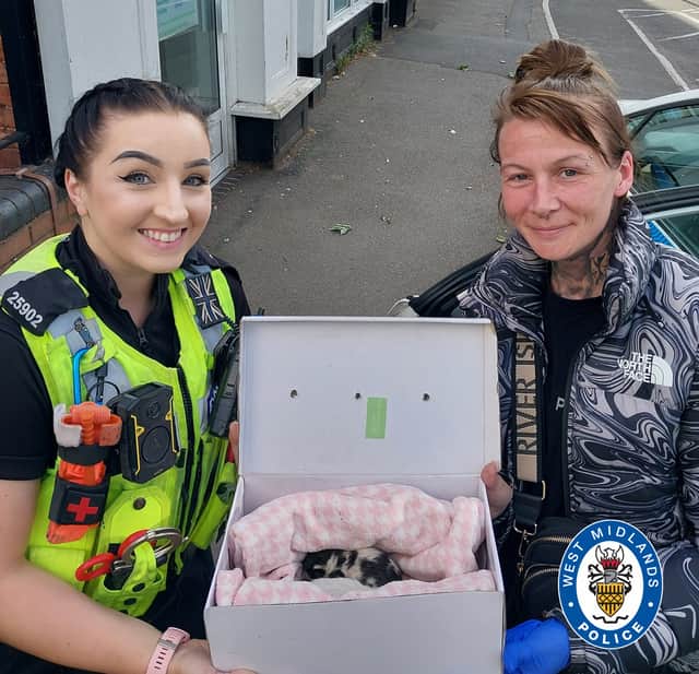 PCs Kieron Stanton and Pip Clewlow with the kittens