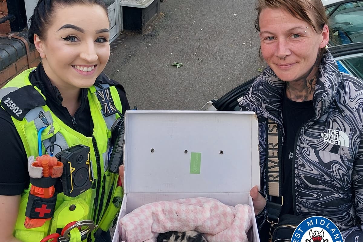 Abandoned kittens rescued by police in Walsall