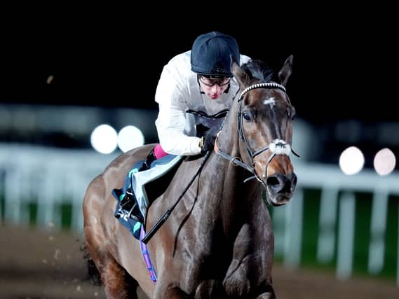 Constitution Hill has made a fine start to his career on the Flat