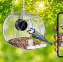 This is one of the cheapest smart bird feeders on sale right now