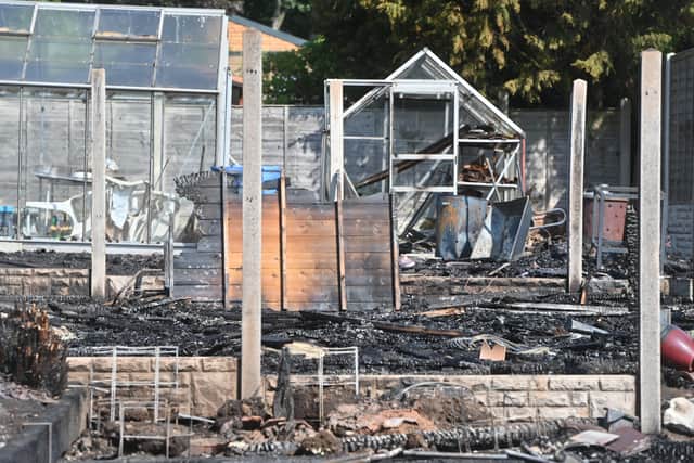 A fire in a garden spread to a number of others, taking out sheds and greenhouses
