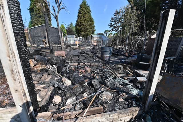 A fire in a garden spread to a number of others, taking out sheds and greenhouses