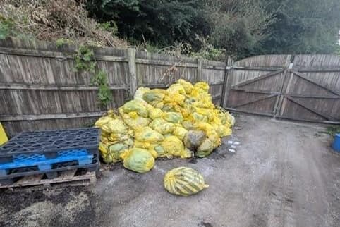 Woman who found deceased animals in bags at pet crematorium is inundated ...