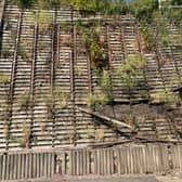 The wooden wall behind the Goodrich Mews estate is visibly falling into disrepair