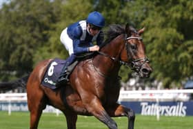 Heraldry winning at Newmarket