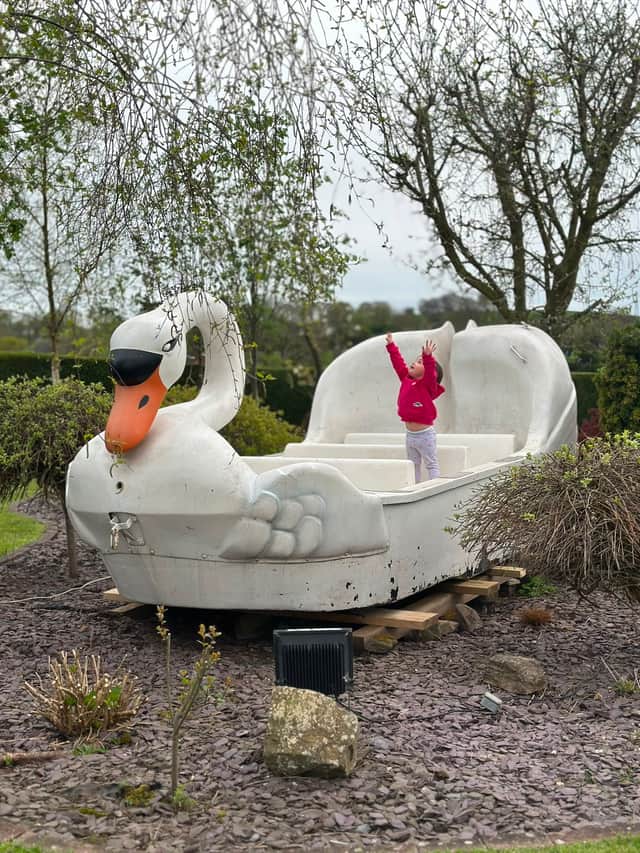 Summer Jane and the swan.