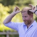 The Duke of Sussex during a session of goat yoga