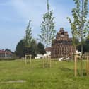The Braniel estate bonfire