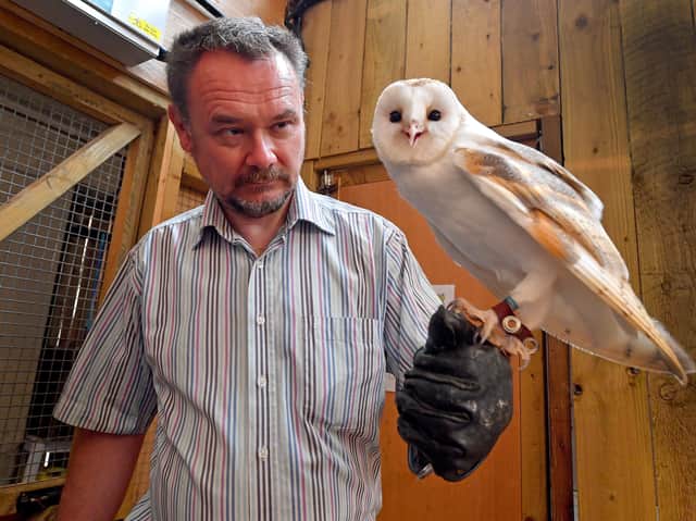 Echo the barn owl