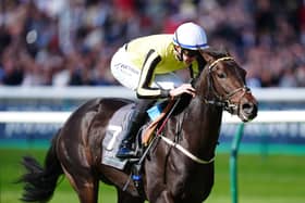 Wimbledon Hawkeye has joined George Scott