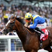 More Thunder will head to France next month