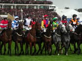 Cheltenham Festival runners and riders at the start