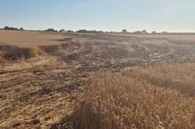 Multiple fires in the open have been reported since the heatwave began