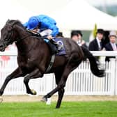 Rebel's Romance at Royal Ascot